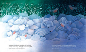 Salmon Run