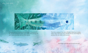Salmon Run
