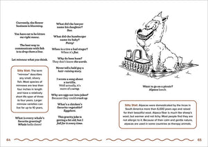 The Big Book of Silly Jokes for Kids 2