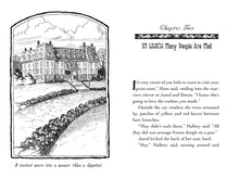 Load image into Gallery viewer, Lucinda&#39;s Secret (The Spiderwick Chronicles Book 3)