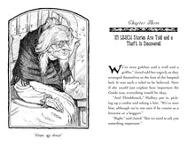 Load image into Gallery viewer, Lucinda&#39;s Secret (The Spiderwick Chronicles Book 3)