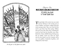 Load image into Gallery viewer, The Wrath of Mulgarath (The Spiderwick Chronicles Book 5)