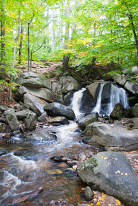 50 Hikes in Eastern Massachusetts (5th Edition)