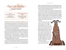 Load image into Gallery viewer, The United States of Cryptids