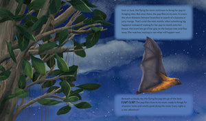 Secrets of the Stars
