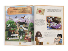 Load image into Gallery viewer, LEGO© Harry Potter™ Magical Year at Hogwarts (Activity Book with 3 Minifigures)