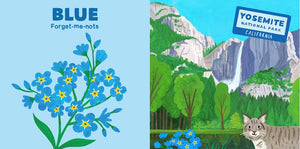 Colors of the National Parks