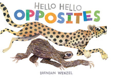 Load image into Gallery viewer, Hello Hello Opposites