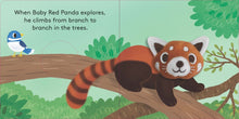 Load image into Gallery viewer, Baby Red Panda (Finger Puppet Book)