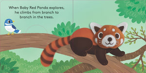 Baby Red Panda (Finger Puppet Book)