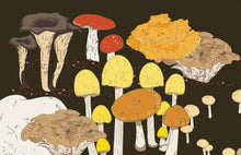 Load image into Gallery viewer, Mushrooms: A Guide for the Curious