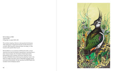 Load image into Gallery viewer, Birds