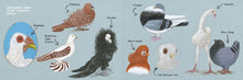 Load image into Gallery viewer, The Real Poop on Pigeons!