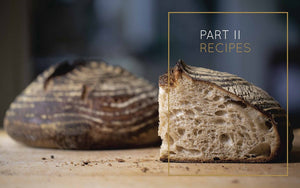 Evolutions in Bread