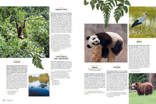 Load image into Gallery viewer, Wanderlust