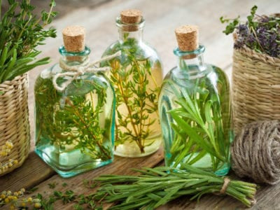 Herbal Vinegar Workshop