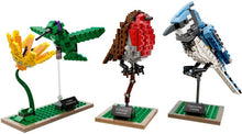 Load image into Gallery viewer, LEGO® Ideas 21301 Birds (580 pieces)