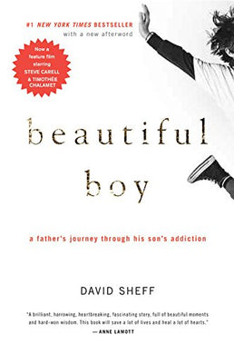 Beautiful Boy: A Father's Journey Through His Son's Addiction