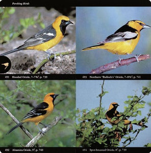 National Audubon Society Field Guide to North American Birds: Eastern Region