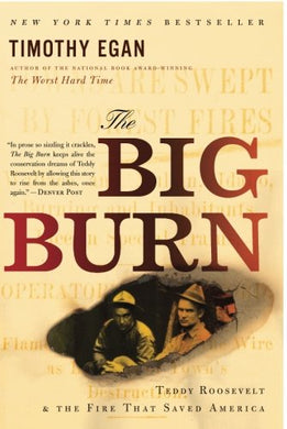 The Big Burn: Teddy Roosevelt and the Fire that Saved America