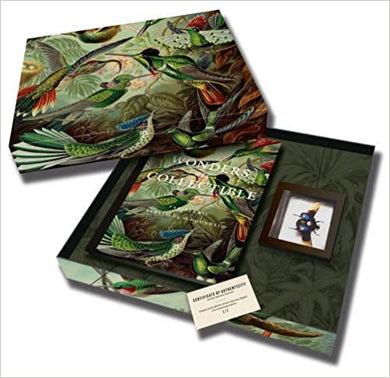 Wonders Are Collectible: Taxidermy: The Beauty of Beetles, Bugs and Butterflies