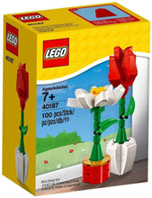 Load image into Gallery viewer, LEGO® 40187 Flower Display (100 pieces)