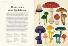 Load image into Gallery viewer, Fungarium: Welcome to the Museum