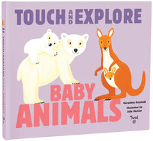 Load image into Gallery viewer, Touch and Explore: Baby Animals