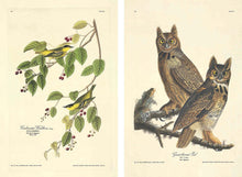 Load image into Gallery viewer, The Birds of America