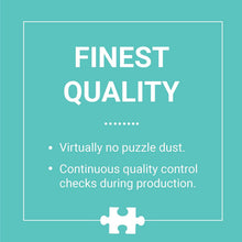 Load image into Gallery viewer, Massachusetts Mini Shaped Puzzle (100 pieces)