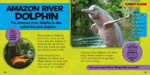 Load image into Gallery viewer, Little Kids First Big Book of the Rain Forest