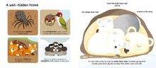 Load image into Gallery viewer, Touch and Explore: Baby Animals