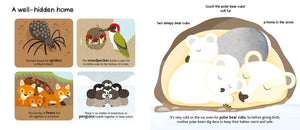 Touch and Explore: Baby Animals