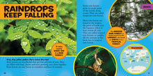 Load image into Gallery viewer, Little Kids First Big Book of the Rain Forest