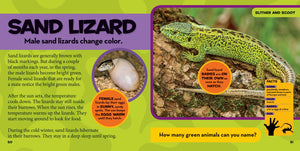 Little Kids First Big Book of Reptiles and Amphibians