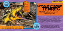Load image into Gallery viewer, Little Kids First Big Book of the Rain Forest