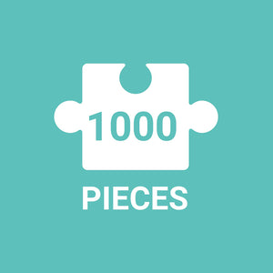 Ideal Bookshelf Puzzle (1000 pieces)