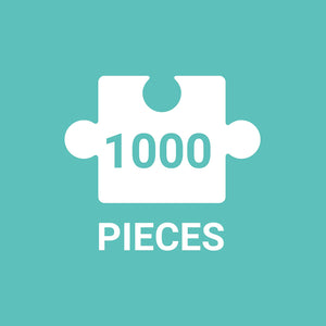 The United States Puzzle (1000 pieces)