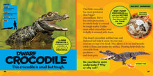 Load image into Gallery viewer, Little Kids First Big Book of Reptiles and Amphibians