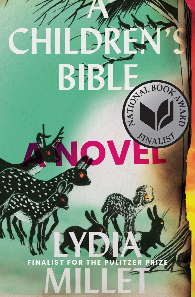 A Children's Bible: A Novel