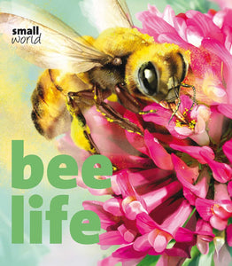 Bee Life (Small World)