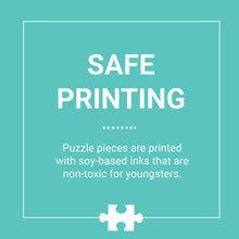 Load image into Gallery viewer, Map of the World Jumbo Puzzle