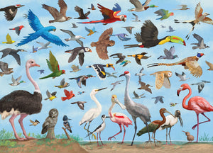 All the Birds Jigsaw Puzzle (1000 pieces)
