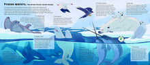 Load image into Gallery viewer, Sounds of Nature: World of Oceans