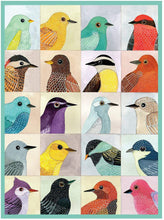 Load image into Gallery viewer, Avian Friends Puzzle (1000 pieces)