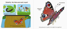 Load image into Gallery viewer, Touch and Explore: Bugs
