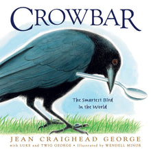 Load image into Gallery viewer, Crowbar: The Smartest Bird in the World