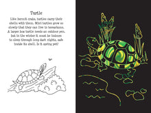 Load image into Gallery viewer, Scratch &amp; Sketch Pet Shop