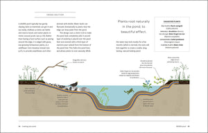 How to Create a Wildlife Pond