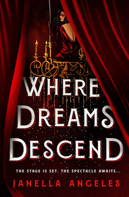 Where Dreams Descend: A Novel